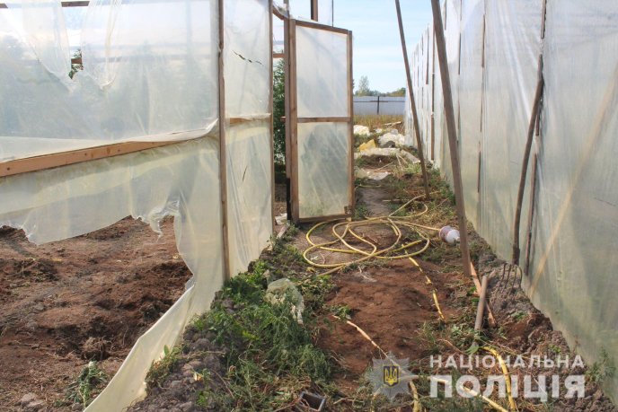 На Мукачівщині виявлено наркоплантацію марихуани на більше як 10 мільйонів гривень – 05