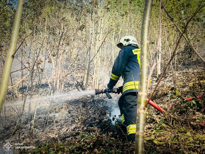 Вогнеборці гасять пожежу під Воловцем / фото: ДСНС Закарпаття