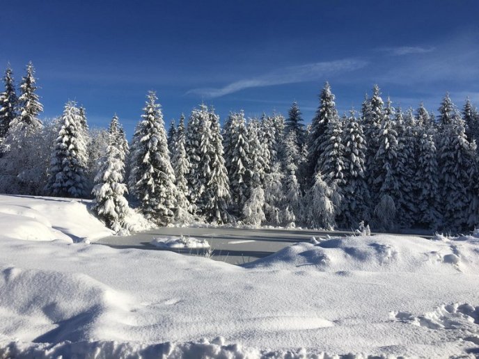 Зимова казка: мережею ширяться неймовірні світлини гір Закарпаття – 01 Зимова казка: мережею ширяться неймовірні світлини гір Закарпаття – 01