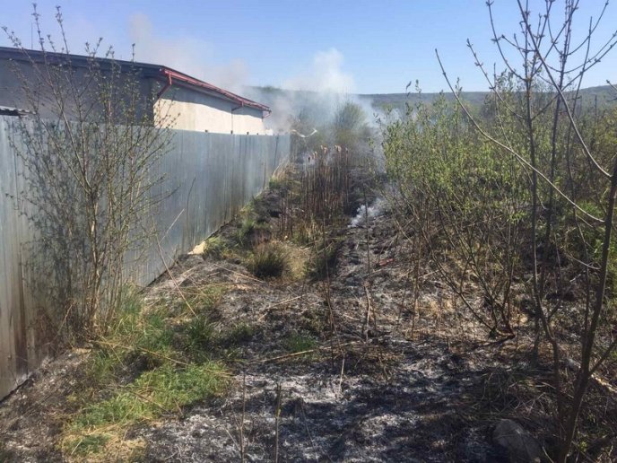 На Закарпатті поширили неправдиву інформацію: подробиці – 03