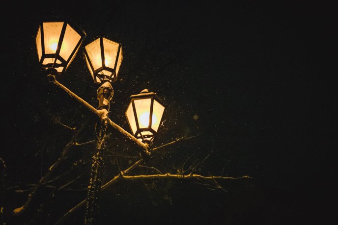 Неймовірна краса: у мережі опубліковано ранкові фото засніженого Ужгорода – 06