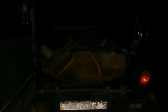 Закарпатських браконьєрів спіймали на гарячому – 04