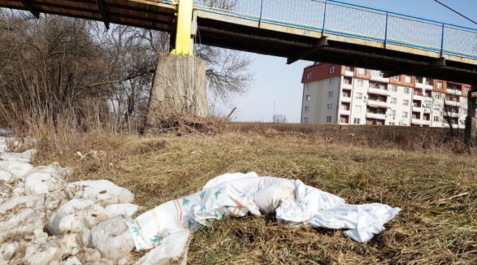 На берег річки Уж викинули замотане у простирадло тіло собаки – 03