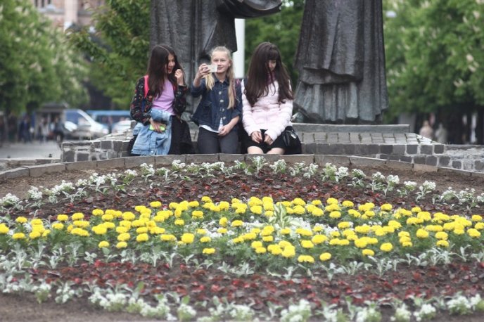 У центрі Мукачева з’явилась клумба у формі вишиванки – 05 У центрі Мукачева з’явилась клумба у формі вишиванки – 05