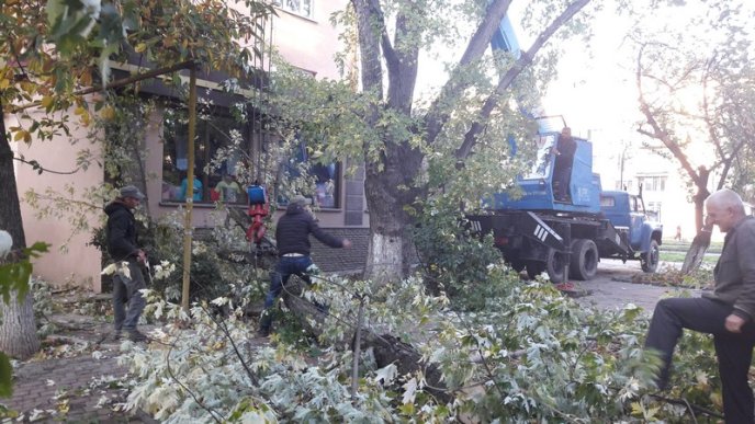 Сильний вітер наробив біди в Ужгороді – 02