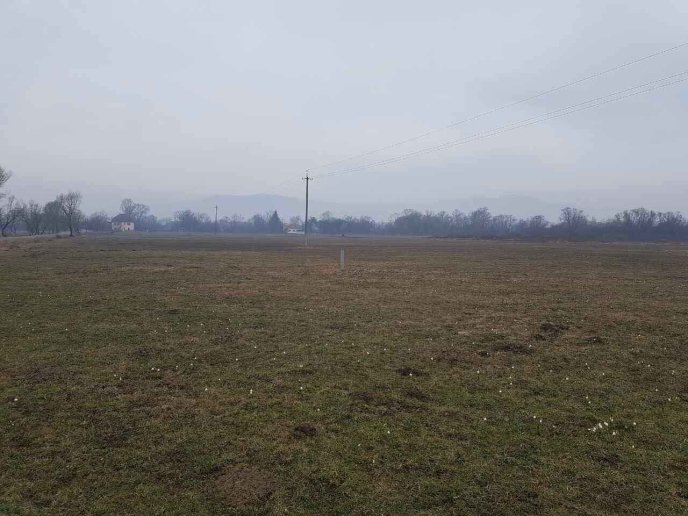 На місці згарища в Долині нарцисів виросли проліски – 02