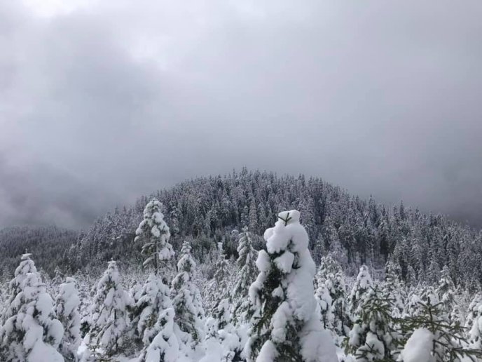 Синевир замело снігом, — соцмережі – 04