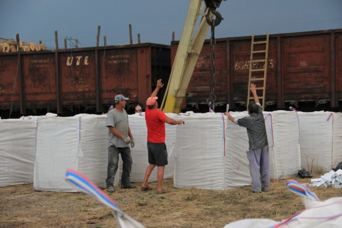 На Закарпатті під паливними брекетами виявили партію контрабандних цигарок – 11