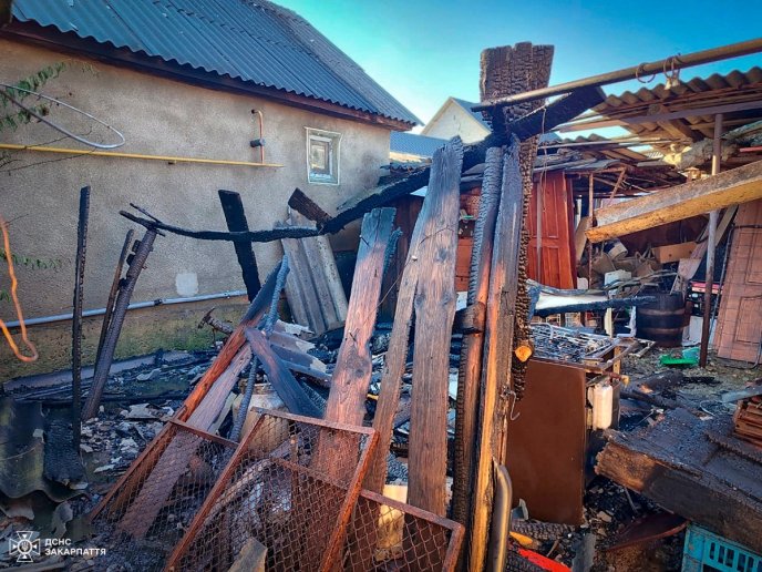 Пожежа у Виноградові