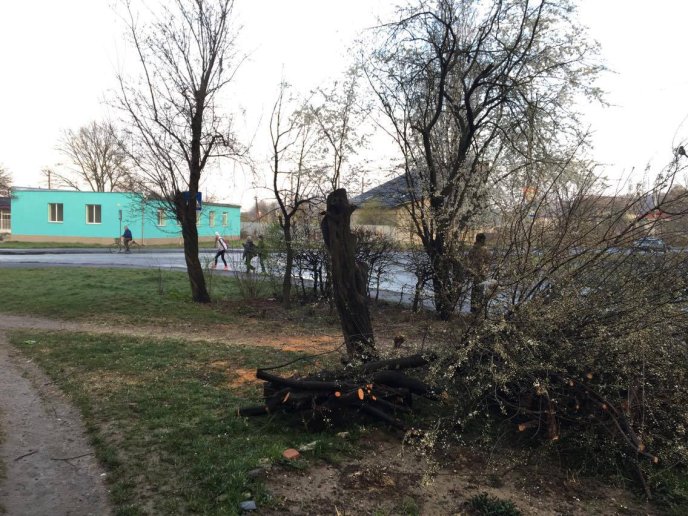 У Мукачеві в мікрорайоні Підгоряни бабуся здійняла переполох своєю витівкою – 07 У Мукачеві в мікрорайоні Підгоряни бабуся здійняла переполох своєю витівкою – 07