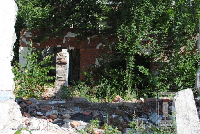 Маленька Прип’ять по сусідству зі школою та багатоквартирним масивом (ФОТО) – 17