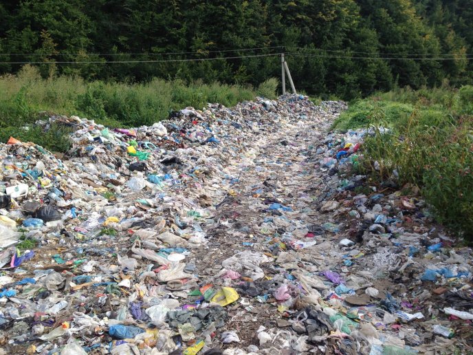 Мережу шокували фото великої кількості сміття неподалік центру Рахова – 04