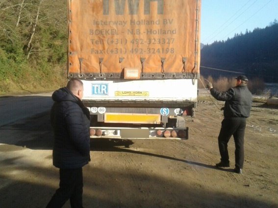 У Карпатах поліцейські затримали вантажівку з 20 кубометрами "лівої" деревини – 02