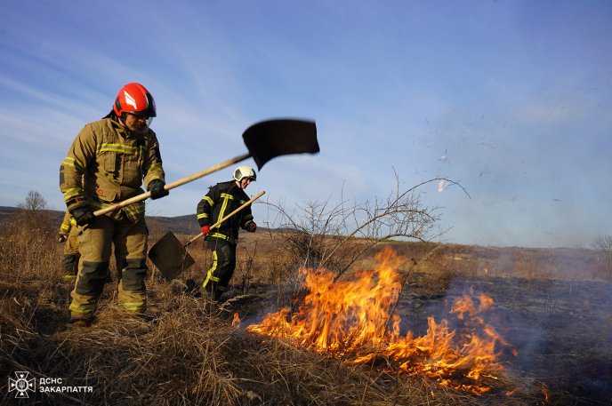 Двоє дівчат врятували природу, вчасно помітивши пожежу та зателефонувавши рятувальникам – 02