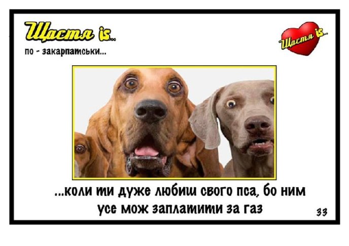 Мукачівці показали, що таке "щастя по-закарпатськи" – 07