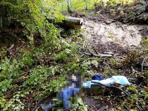 Під час заготівлі дров у лісі загинув закарпатець – 01 Під час заготівлі дров у лісі загинув закарпатець – 01