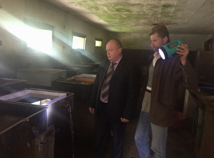 Жахи господарювання на Рахівщині: дерева масово вирубують, а форелеве господарство у плачевному стані – 01 Жахи господарювання на Рахівщині: дерева масово вирубують, а форелеве господарство у плачевному стані – 01