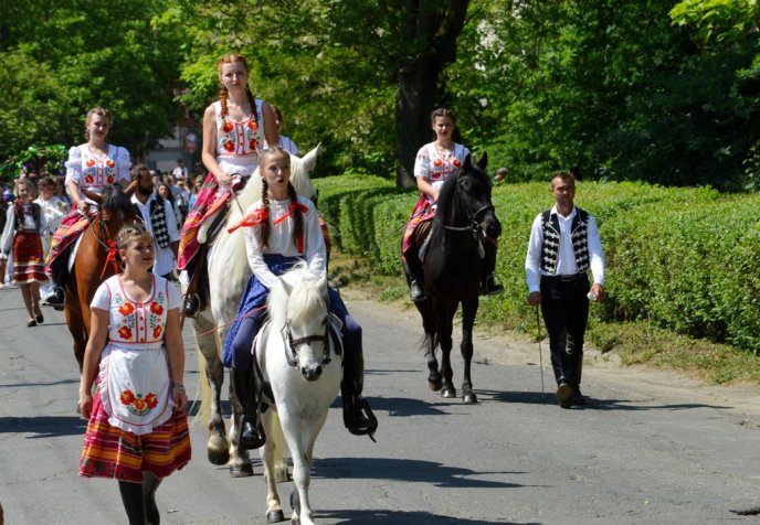 У виноградівському парку Перен відбувся винний фестиваль «Угочанська лоза» – 01