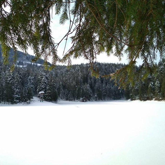 На Синевирі спорудили будиночок для героя останнього фільму Жана Рено  – 01