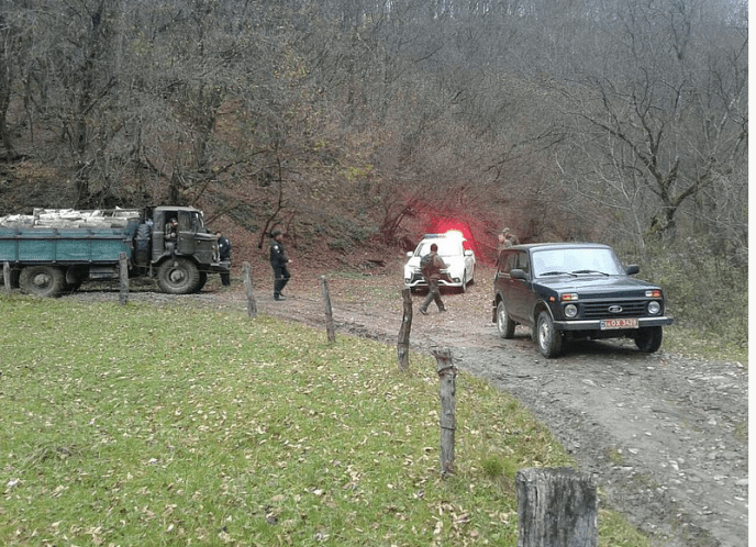 На Закарпатті зловили «чорних лісорубів» – 04