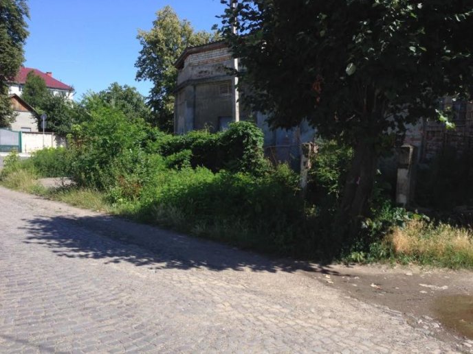 В Мукачеві склали протокол на обслуговуючу компанію за прибирання прибудинкової території – 02