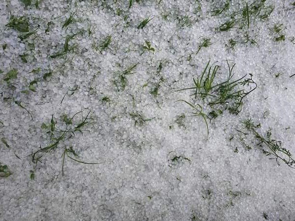 На Тячівщині вирувала негода. Деякі села накрило градом – 03