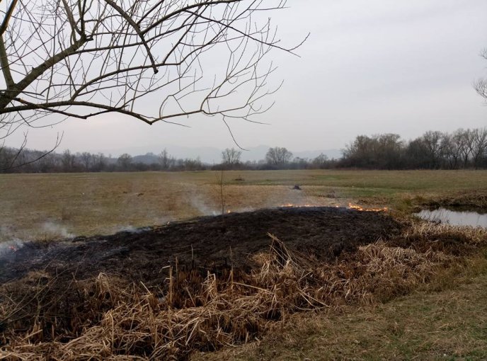 На Закарпатті згоріла Долина нарцисів – 02