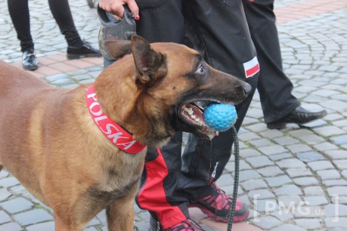 У Мукачеві урочисто відкрили чемпіонат світу зі слідової роботи службових собак – 15