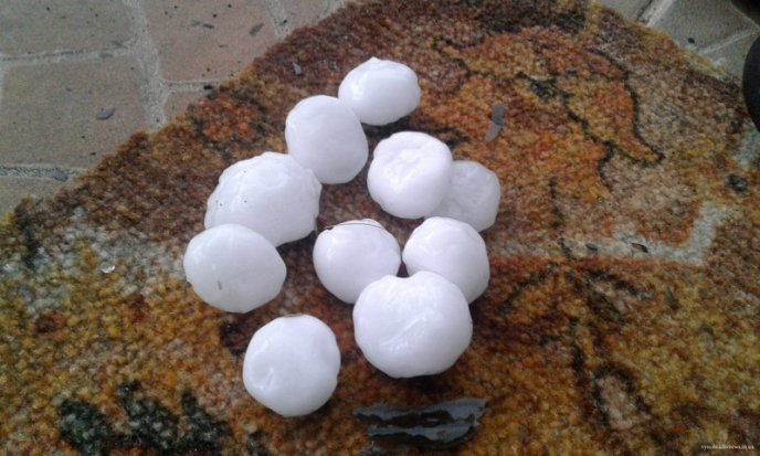 Виноградівщина оговтується від нищівного граду: шокуюче відео стихії – 07