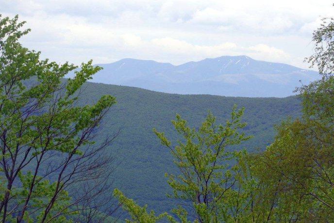 Вихованці мукачівського клубу "Товариш" відвідали чергову захоплюючу екскурсію (ФОТО) – 11