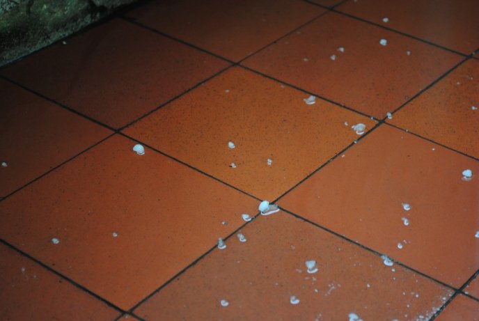 Мукачевом пронісся сильний град (ФОТО) – 02