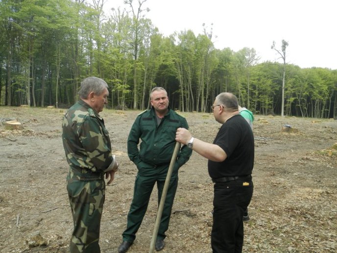 Лісівники разом із студентами провели весняну лісокультурну кампанію – 03