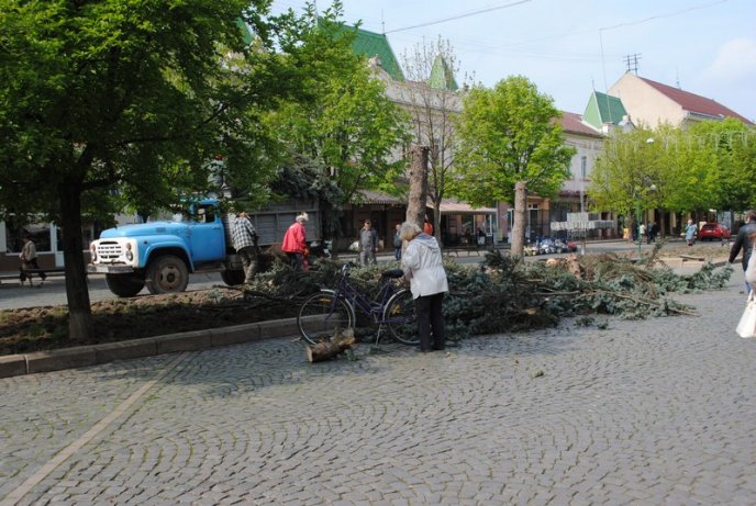 Комунальники зрізають останні ялинки у центрі Мукачева (ФОТО) – 01