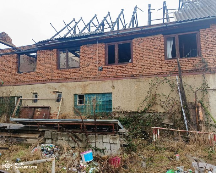 Рятувальники понад дві години боролися з вогнем — що сталося поблизу Ужгорода – 03