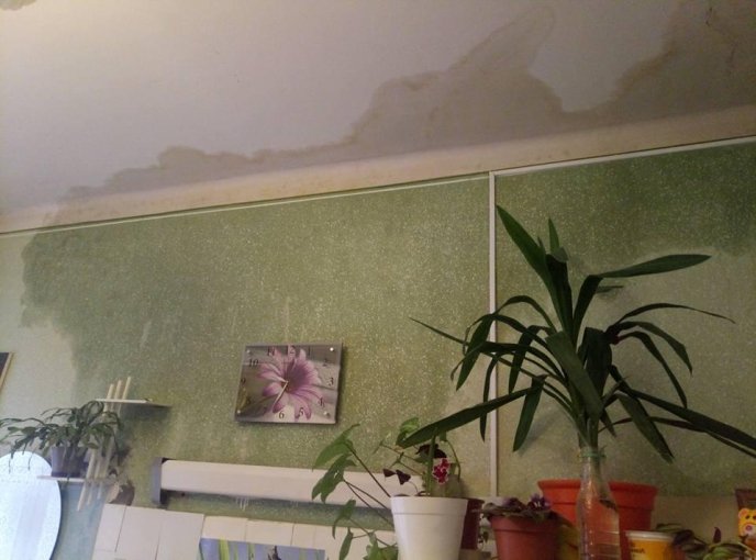 Мережу шокував стан кабінетів дитячої поліклініки в Ужгороді – 06