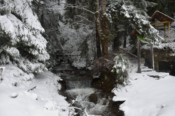 Зимова казка: мережею ширяться неймовірні світлини гір Закарпаття – 05 Зимова казка: мережею ширяться неймовірні світлини гір Закарпаття – 05
