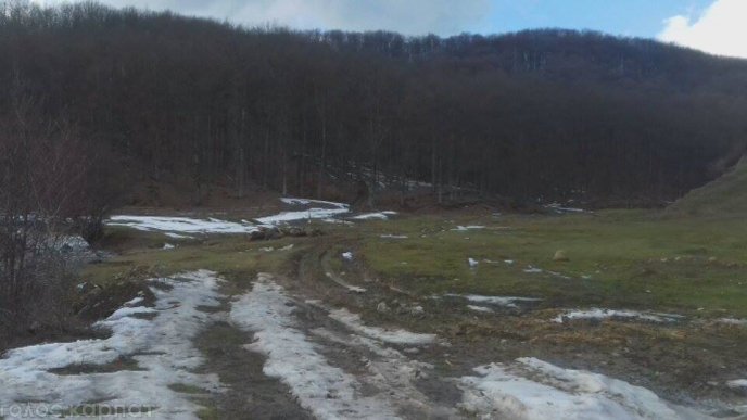 У Свалявському районі люди вийшли на протест проти вирубки лісу – 05