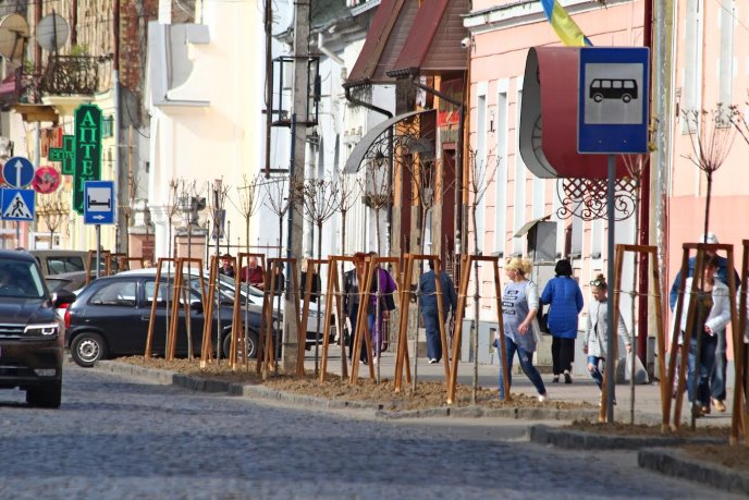 Мерія Мукачева показала кленову алею, висаджену на місці зрізаних дерев на вулиці Духновича – 06