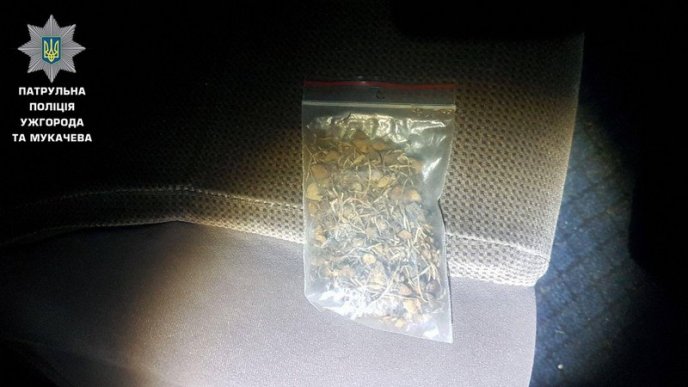 У чоловіка в машині знайшли марихуану, ЛСД та наркотичні гриби – 01