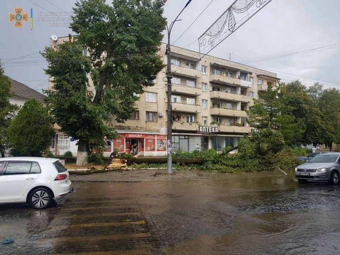 Повалені дерева і знеструмлені села: рятувальники показали наслідки негоди – 02