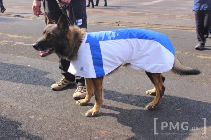 Збірна Франції перемогла на чемпіонаті світу зі слідової роботи службових собак – 26