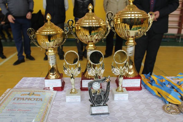 Кубок Шеверів у Дубовому вибороли волейболісти з Перечина – 05