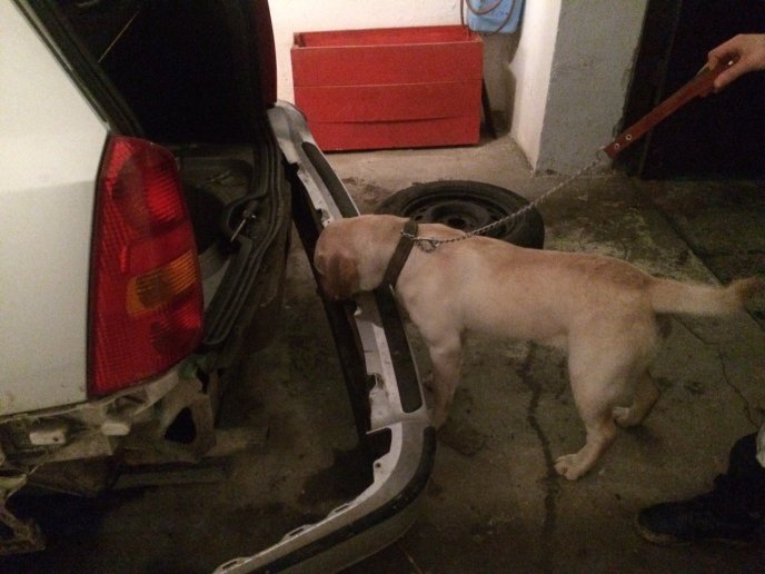 Українець намагався вивезти у Словаччину 640 пачок цигарок – 03