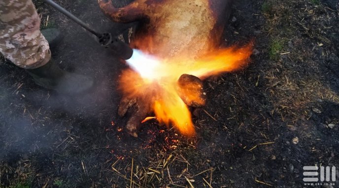 На Берегівщині стартував традиційний фестиваль різників – 21