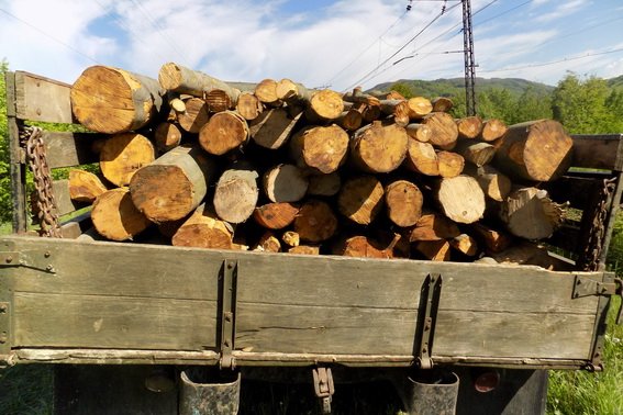 На Великоберезнянщині правоохоронці зупинили вантажівку з нелегальною деревиною – 03