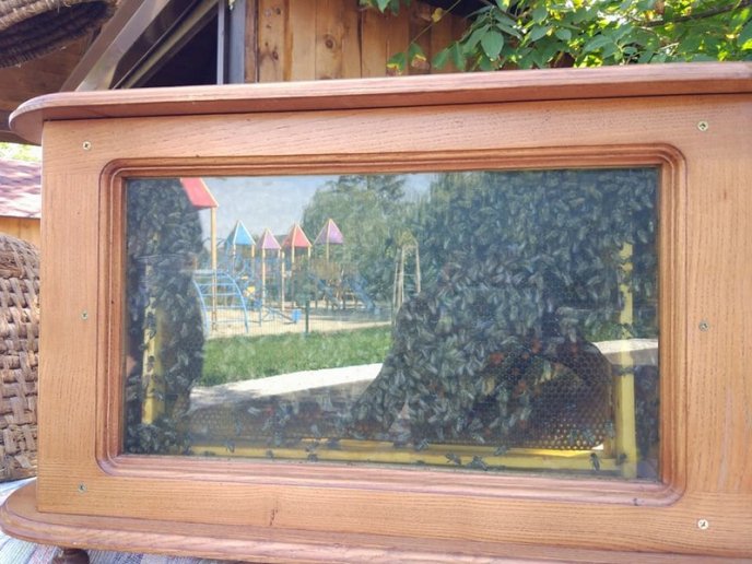 У Мукачеві стартувало свято меду – 04