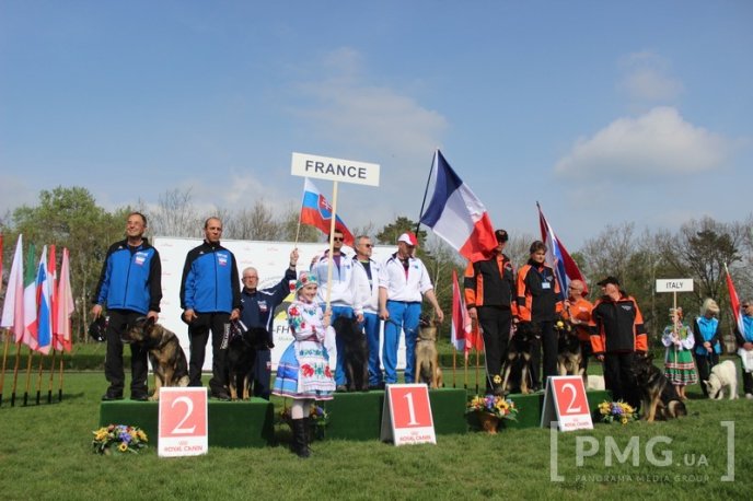 Збірна Франції перемогла на чемпіонаті світу зі слідової роботи службових собак – 53
