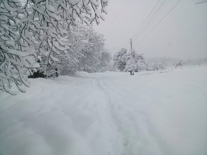 Казкова зима у селі Брестів на Мукачівщині: неймовірні фото – 13