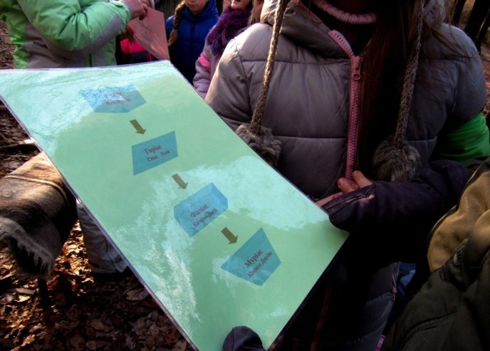 У лісі на виїзді з Мукачева влаштували новорічну зустріч у кельтському стилі – 03