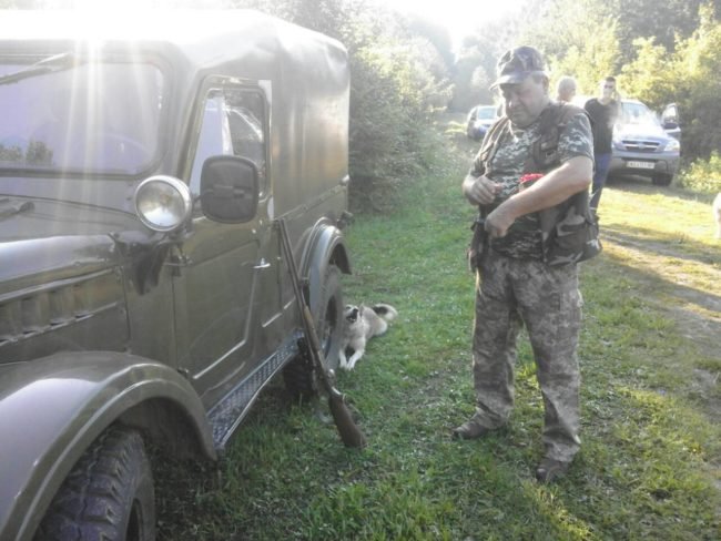 На Мукачівщині почали відстрілювати кабанів – 02